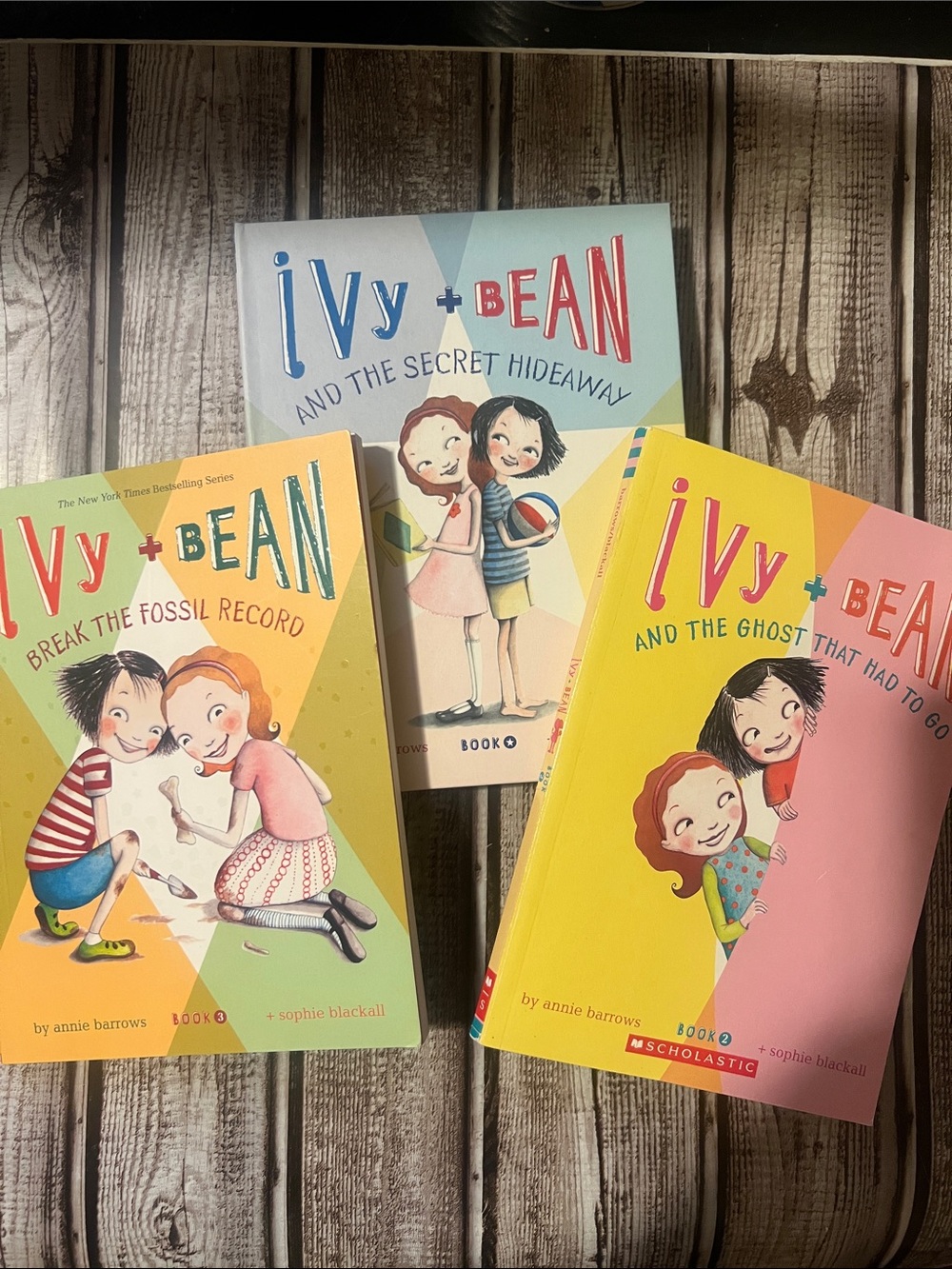 NWT Ivy + Bean Kids Illustrated Chapter Book 2+3 & Secret Hideaway Faux Book